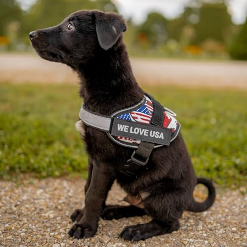DOGGYKINGDOM Personalized Dog Harness with Custom Name Patches, Adjustable Reflective No Choke Dog Vest with Handle for Large Dogs, Pink, L - color: Pink, size: L (Chest: 28 - 32 in)