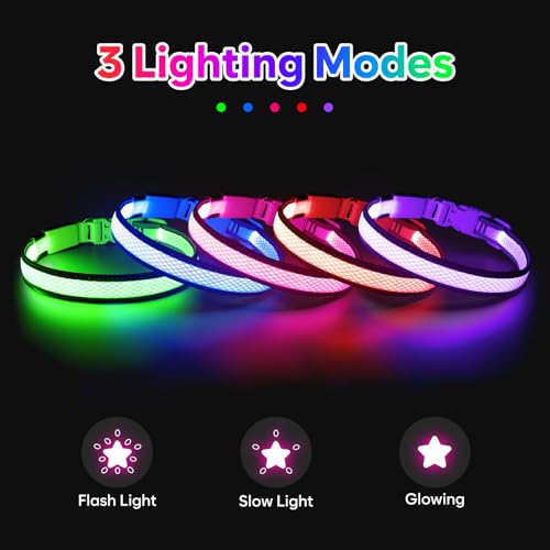 Flashseen LED Light Up Dog Collar, USB Rechargeable, Purple, L - color: Purple, size: Large