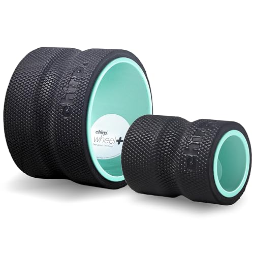Chirp Wheel+ Foam Roller 2-Pack, Back & Neck Pain Relief, Mint - size: 2 Pack