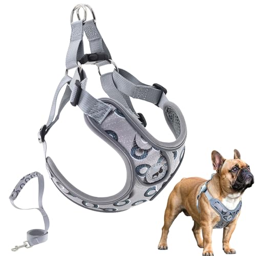 Dog Harness with Leash Set, No Pull Adjustable Step in Pet Vest - color: Gray-2, size: Medium