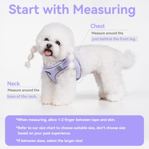Petank Step in Dog Harness No Pull and Leash for Small Medium Dogs Cats. - color: Purple, size: XXS