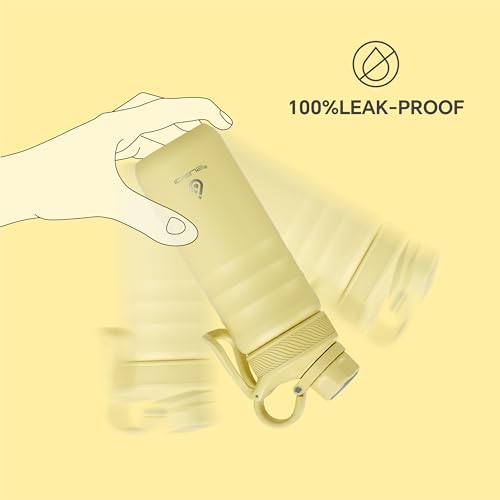 IDEUS Insulated Stainless Steel Water Bottle with 2 Leak-Proof Lids, Thermal Water Flask for Hiking Biking, 18oz, Light Yellow - color: Light Yellow, size: 18 Ounces