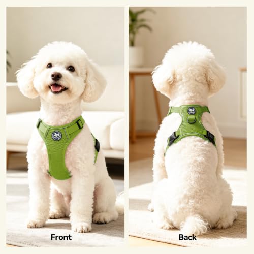 PoyPet Mesh Dog Harness, Reflective Breathable Puppy Vest for Small Dogs - color: Grass Green, size: S