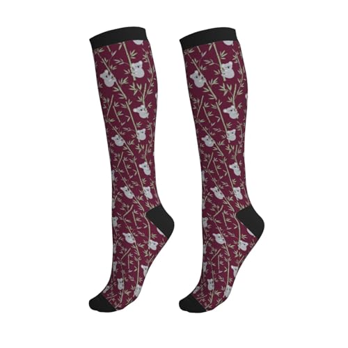Patterned Knee High Socks for Women Men Athletic Running Travel Work - color: Koala Bamboo Forest