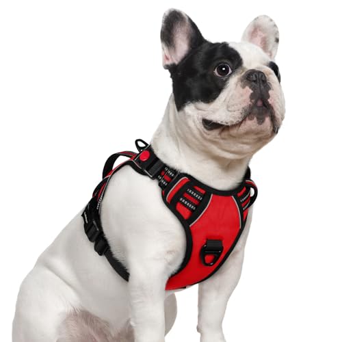 rabbitgoo Large Dog Harness, Easy Wear with 3 Buckles and Lift Handle - color: Red, size: Small