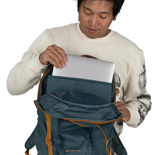 Osprey Daylite Plus Commuter Backpack, Pink OS - color: Iris Pink