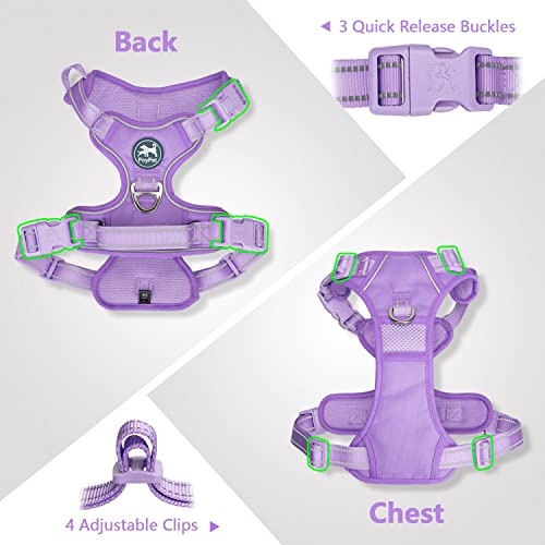 PoyPet No Pull Dog Harness, Reflective Vest with 2 Leash Clips & Handle - color: Light Purple(Matching Trim), size: S