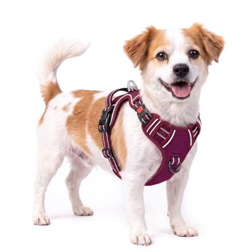 HEELE Dog Harness, Breathable Padded, No Pull Front Clip Vest, Burgundy S - color: Lock Burgundy, size: S (Pack of 1)