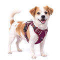 HEELE Dog Harness, Breathable Padded, No Pull Front Clip Vest, Burgundy S - color: Lock Burgundy, size: S (Pack of 1)