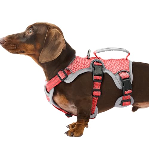 Huntboo Escape Proof Dog Harness, Dachshund Harness, Reflective Dog Harness with Handle, Durable,Adjustable Vest for Small Medium Large Dogs Walking, Training, and Running Gear (Red,S) - color: Red, size: Small(Pack of 1)