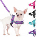 SlowTon No Pull Small Dog Harness and Leash Set with Front Clip - color: Purple, size: X-Small