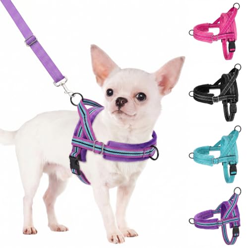 SlowTon No Pull Small Dog Harness and Leash Set with Front Clip - color: Purple, size: X-Small