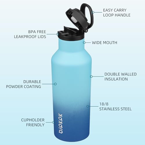 BJPKPK 17oz Insulated Thermal Water Bottle, Straw & Handle, Stainless Steel - color: Sky, size: 17 Ounces