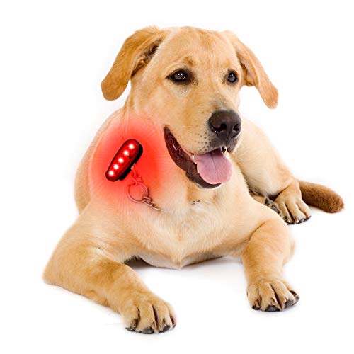 USB-C Rechargeable LED Safety Lights (2 Pack) - Clip on Strobe Running Lights for Runners, Joggers,Walkers,Kids,Dogs,Bike Tail Lights - High Visibility Accessories for Reflective Gear - color: USB-C Red