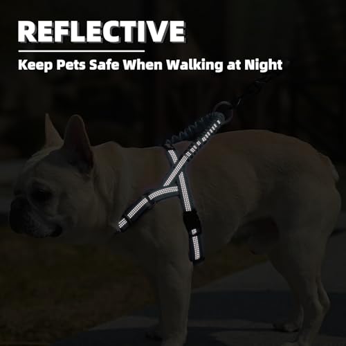 PUPTECK No Pull Dog Harness Small Sized Dog, Adjustable Reflective Pet Vest Harness with Bungee Handle, Escape Proof No Choke Harness for Small Dogs Walking Training, Sky Blue S - color: Sky Blue, size: S (NECK: 15"-17.5", CHEST: 18.5"-24")