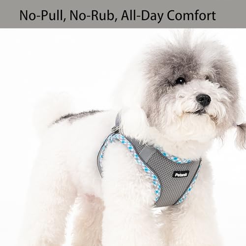 Petank Step in Dog Harness No Pull and Leash for Small Medium Dogs Cats. - color: Grey, size: XXS