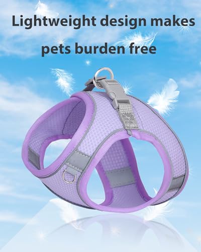 Dog Harness & Leash Set - Purple, S for Small & Medium Dogs - color: Purple, size: Small