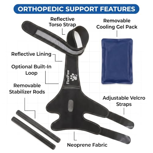 Dog Knee Brace for Torn ACL and CCL, Rear Hind Leg Brace for Dogs, Back Leg Support for Cruciate Ligament Tears, Cold Therapy Gel Pack, Removable Stabilizer Rods, Torso Strap, XL - size: Extra Large