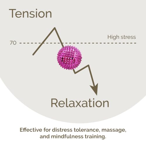 2X Spiky DBT Skill Balls | Magnetic Stress Relief Balls | Spiky Massage Balls for Relaxation, Tension Release, Focus & Mobility (Pink, 2 Inch) - color: Pink, size: 2 inches
