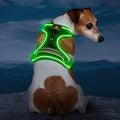 Light Up Dog Harness, Rechargeable LED Dog Vest for Night Walking - color: Black-Green, size: XS