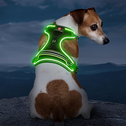 Light Up Dog Harness, Rechargeable LED Dog Vest for Night Walking - color: Black-Green, size: XS