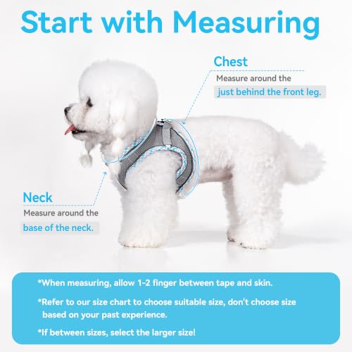 Petank Step in Dog Harness No Pull and Leash for Small Medium Dogs Cats. - color: Grey, size: XXXS