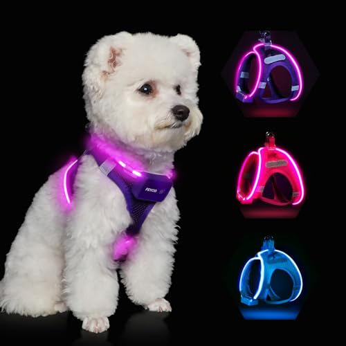 Light Up Dog Harness,Rechargeable LED Dog Harness for Small Medium Dogs - color: Purple, size: S