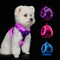 Light Up Dog Harness,Rechargeable LED Dog Harness for Small Medium Dogs - color: Purple, size: S