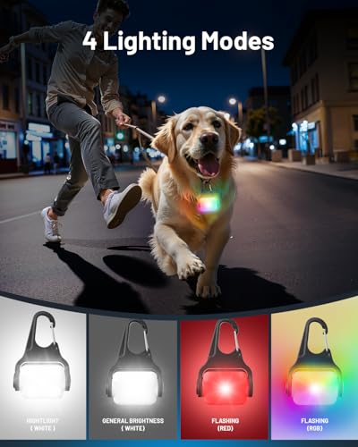 Dog Collar Light 2 Pack, Dog Lights for Night Walking 4 Modes, Waterproof Dogs Light Clip on Rechargeable, LED Dogs Walking Lights for Night Running, Camping, Climbing, Bike - color: RGB