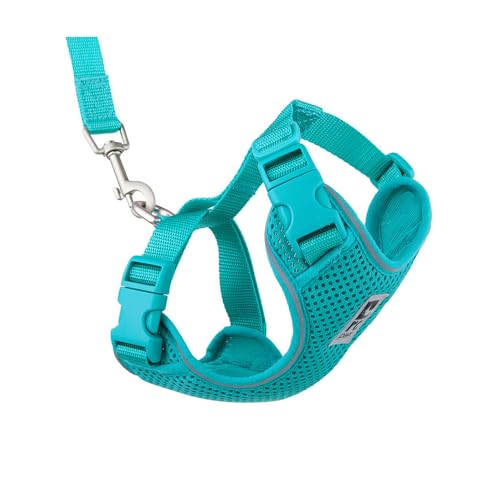 RC Pets Adventure Kitty Cat Harness | Adjustable Airmesh Vest with D-Ring and 6ft Leash for Walking and Travel | Teal, Large - color: Teal, size: Large