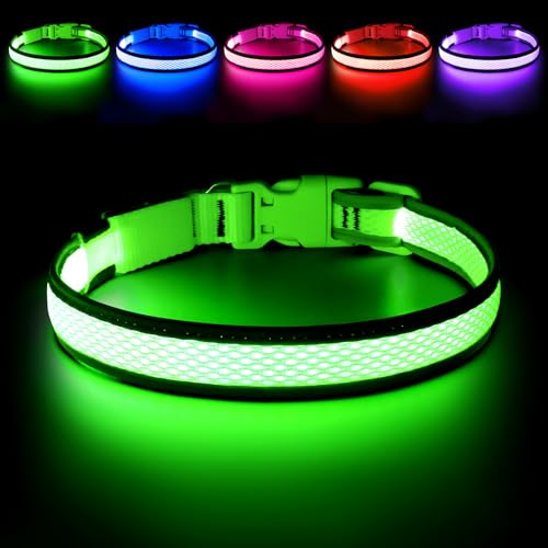 Flashseen LED Dog Collar, Light Up Dog Collar USB Rechargeable, Green, M - color: Green, size: Medium