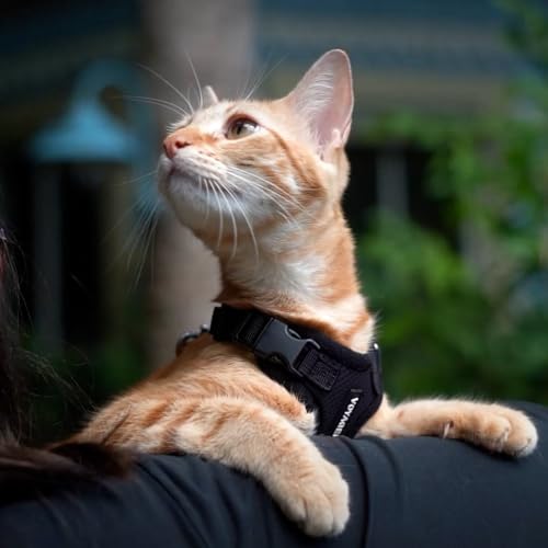 Voyager Escape-Proof Step-in Harness & Leash - Black, XXXS - color: Black, size: XXXS (Chest: 10.5 - 13")