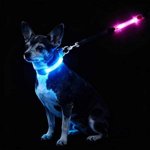 2 Pack LED Dog Leash Light, Hook & Loop for Leash Harness Collar - color: Blue + Pink