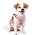 HEELE Dog Harness, Quick Release 3 Buckles, Easy On & Off, Flower Pink, S - color: Flower Pink, size: S (Pack of 1)