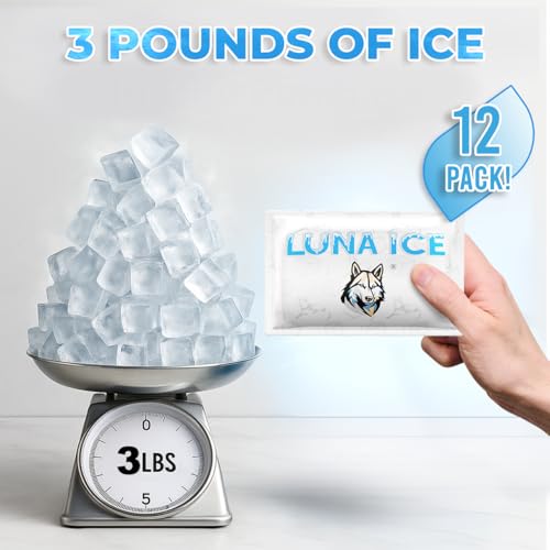 Dry Ice Packs for Shipping - Long Lasting ice Packs - 24+ Hour Freeze Power - BPA Free - 12 Pack Bulk 3 lb – Hielo Seco - Reusable Gel Bricks for Food - size: Medium