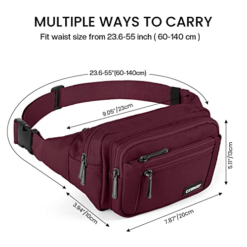 CXWMZY Fanny Packs For Women & Men Waist Pack Hip Bum Bag with Multi-Pockets Large Capacity Waterproof Casual Bum Bag for Disney Traveling Casual Cycling Running Hiking (Wine Red) - color: Wine Red
