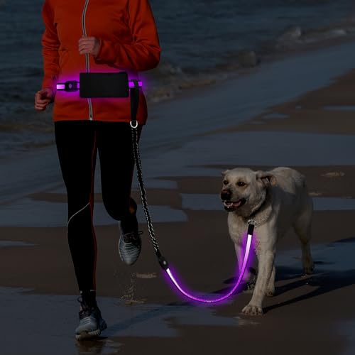 LED Dog Leash Waist Hands Free, Light Up Dog Walking Leash with Pouch - color: Multicolor