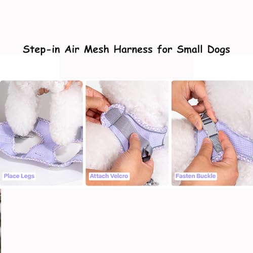 Petank Step in Dog Harness No Pull and Leash for Small Medium Dogs Cats. - color: Purple, size: XXXS
