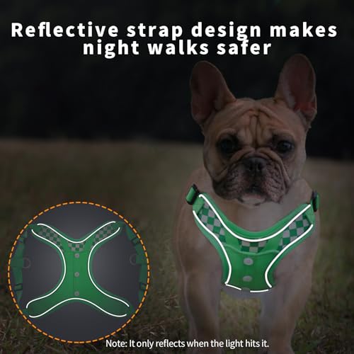 Dog Harness with Leash Set, No Pull Adjustable Step in Pet Vest - color: Green (denim), size: Medium