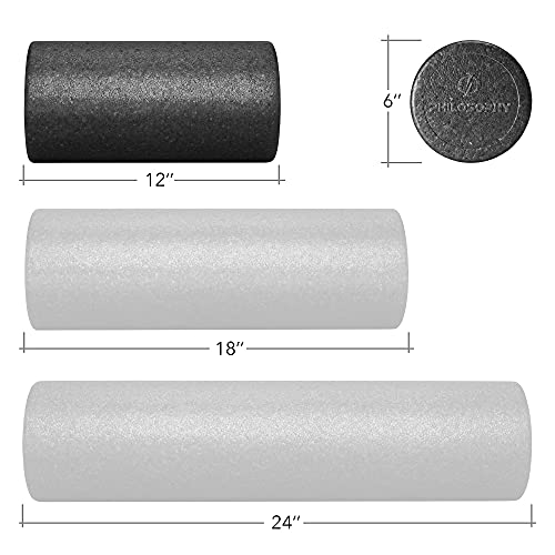 Philosophy Gym 12" High-Density Foam Roller for Exercise, Massage, Muscle Recovery - Round, Black - color: Black