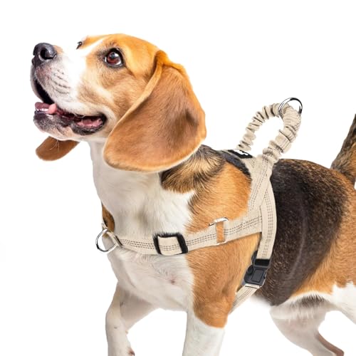 PUPTECK No Pull Dog Harness Medium Sized Dog, Adjustable Reflective Pet Vest Harness with Bungee Handle, Escape Proof No Choke Harness for Medium Dogs Walking Training, Beige M - color: Beige, size: M (NECK: 16.5"-19.5", CHEST: 21.5"-28")