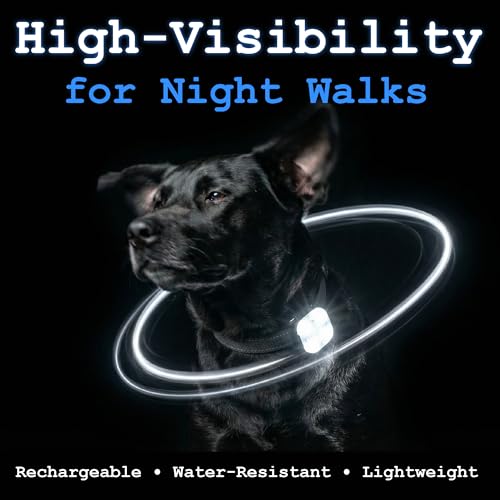 Dog Collar Light, Rechargeable LED Dog Safety Light for Night Walking, Clip-On or Strap-On Pet Light for Collar, Harness and Leash, High Visibility, Water-Resistant, USB-C, Red - color: Red