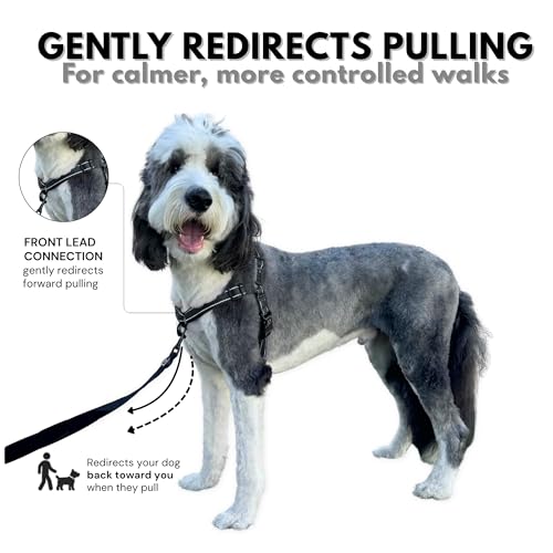 ShawnCo Dream Walk Pro No-Pull Dog Harness (Midnight, Small) - color: Midnight, size: Small