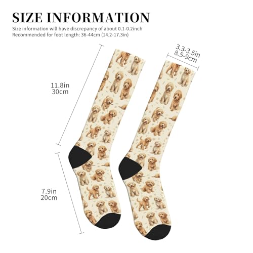 Cute Dog Compression Socks Women Men, Dog Lover Gift - color: Goldendoodle