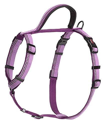 Halti Dog Walking Harness | Size L, Purple | Ideal for Puppy Walks - color: Purple, size: Large