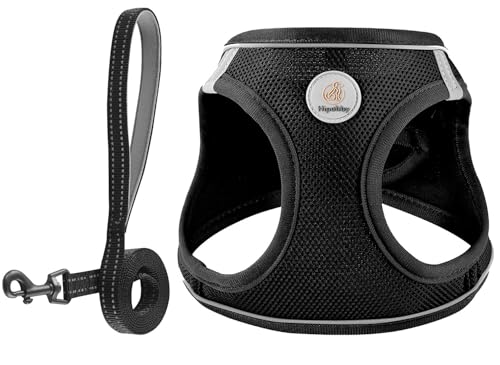 Hipubby Dog Harness and Leash Set, No Pull Soft Mesh Puppy Harness for Small Medium Dogs, Cats - Step in Adjustable Reflective Pet Harness with Buckle and Double D-Rings - Black, XS - color: Black, size: XS (Chest: 13.5"-15")