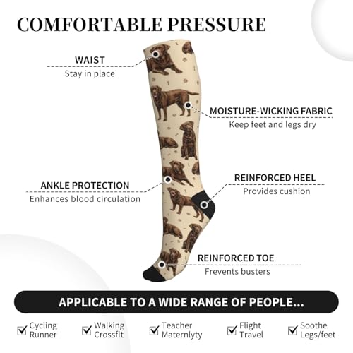 Cute Dog Compression Socks Women Men, Dog Lover Gift - color: Chocolate Lab