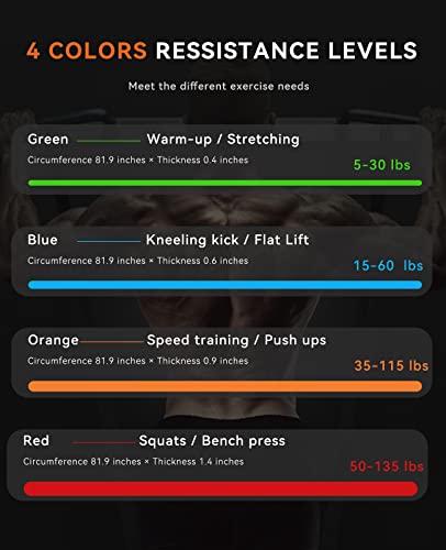 SUNPOW Pull Up Assistance Bands Set of 5 Resistance Heavy Duty Workout Exercise Stretch Fitness Bands Assist Set for Body, Instruction Guide and Carry Bag Included - color: Multicolor（5-135lbs）