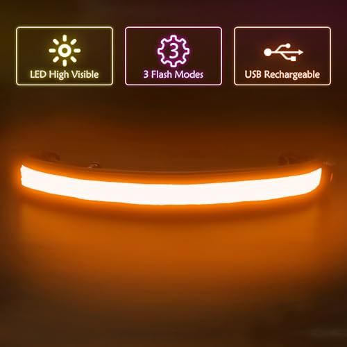 Illumifun LED Running Belt - USB Rechargeable Light Up Sash, High-Visibility Elastic Waistband Light for Running Cycling Hiking Camping Nighttime Activities - color: Orange