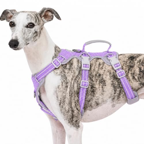 Huntboo Escape Proof Dog Harness, No Pull Reflective Harness with Lift Handle,Adjustable Pet Vest with Front and Back Leash Clips for Small Medium Large Dogs Walking Hiking Training(Lavender Purple,L) - color: Lavender Purple, size: Large(Pack of 1)